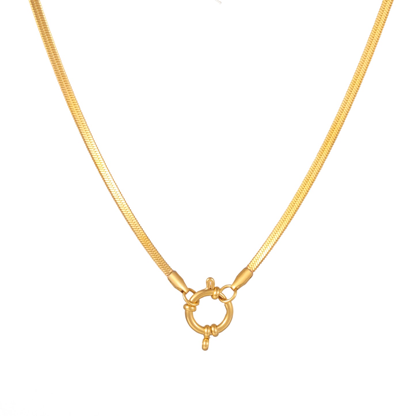 Flat Snake Signoretti Buckle Chain