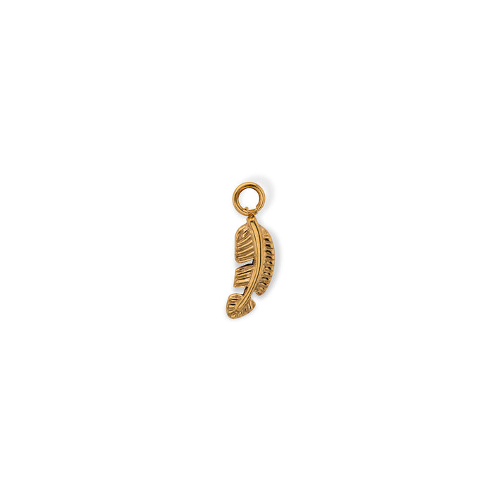 Titanium 1.2mm Seamless Segment Ring + Charm Combo