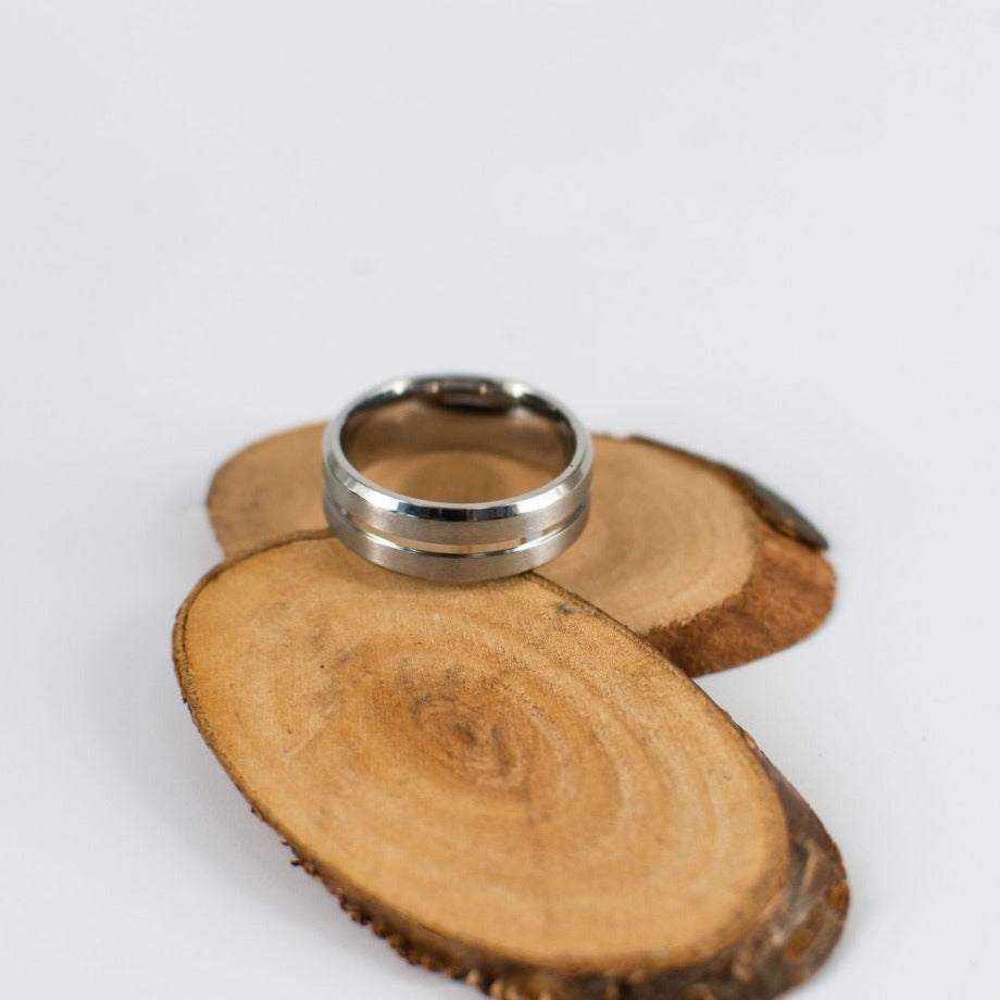 Frosted brushed titanium men's wedding ring in silver