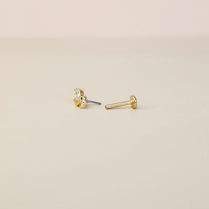 Birdy Gold | G23 Titanium Threadless Flat Back Stud