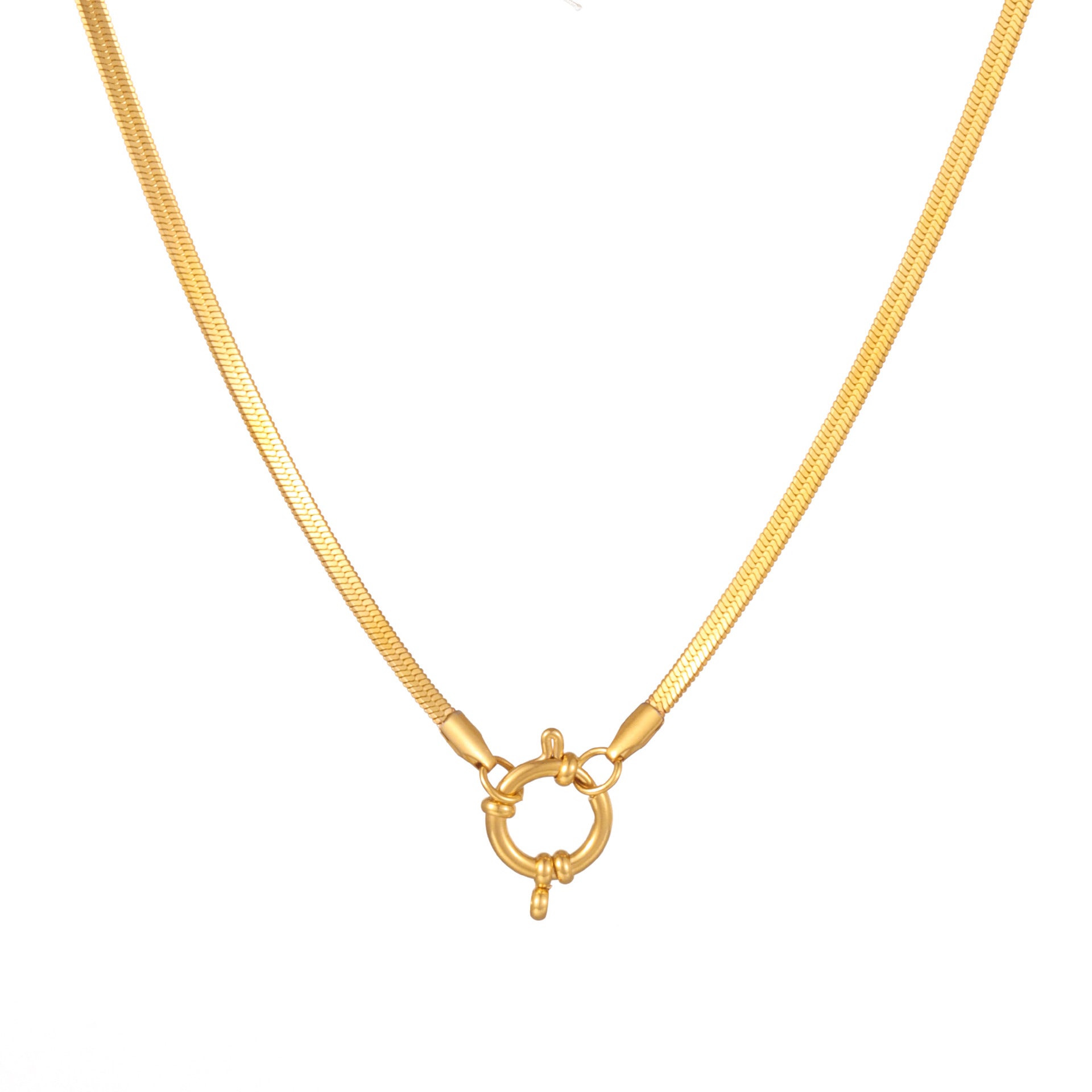 Flat Snake Signoretti Buckle Chain