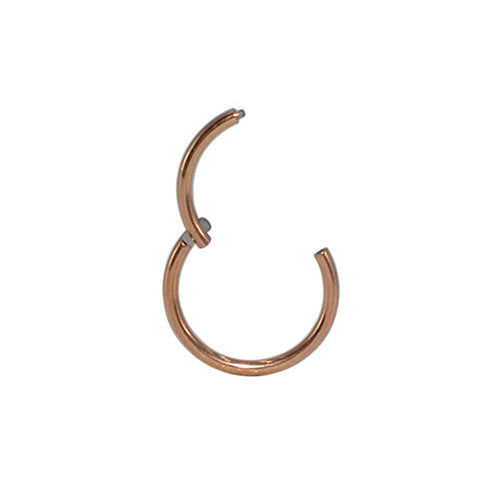 0.8mm | G23 Titanium Seamless Clicker Ring 20G Gauge