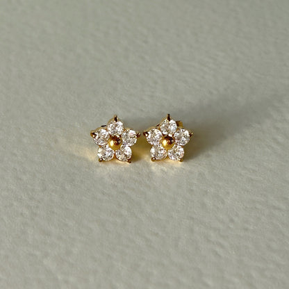 Radiant Studs