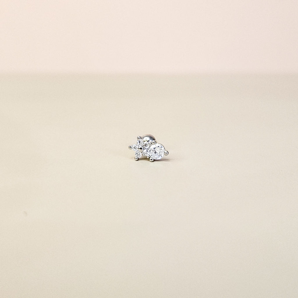 Neve Silver | Stainless Steel Screw Ball Stud