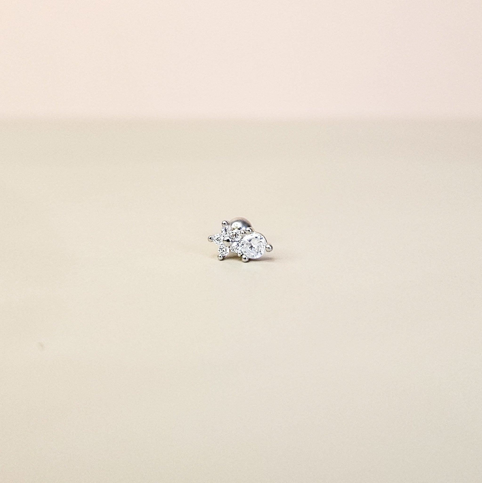 Neve Silver | Stainless Steel Screw Ball Stud