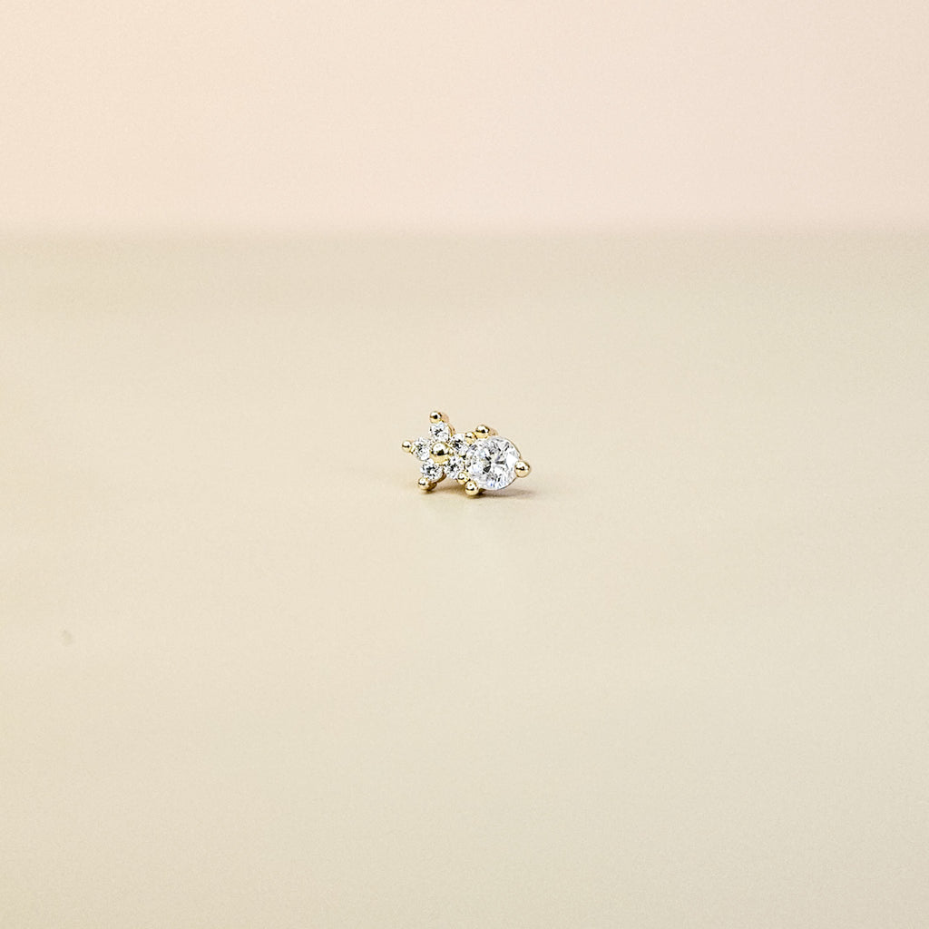 Neve Gold | Stainless Steel Screw Ball Stud