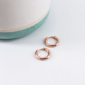 Basic Sleeper Earrings