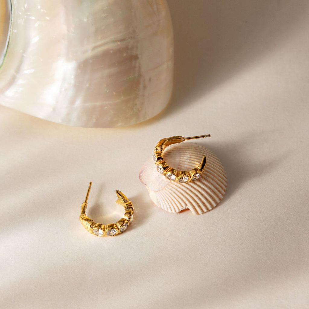 Sardine Hoop Earrings