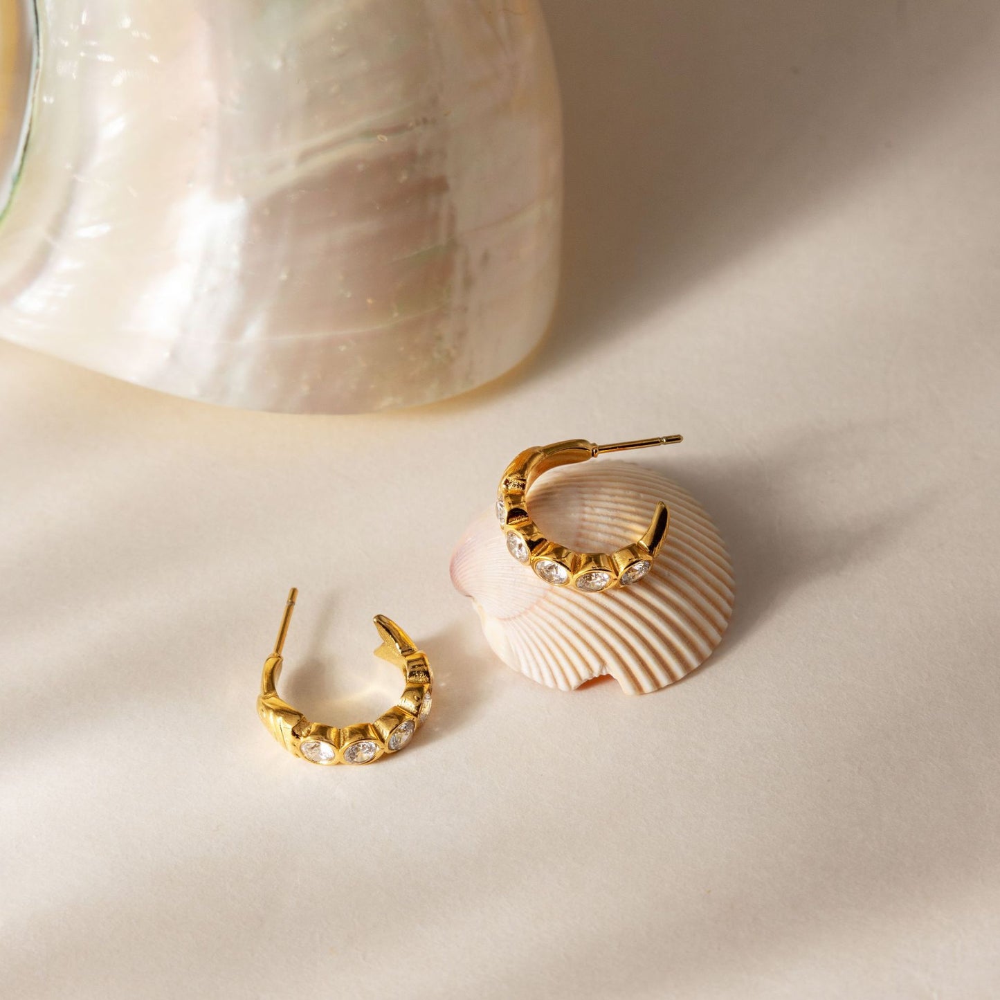 Sardine Hoop Earrings