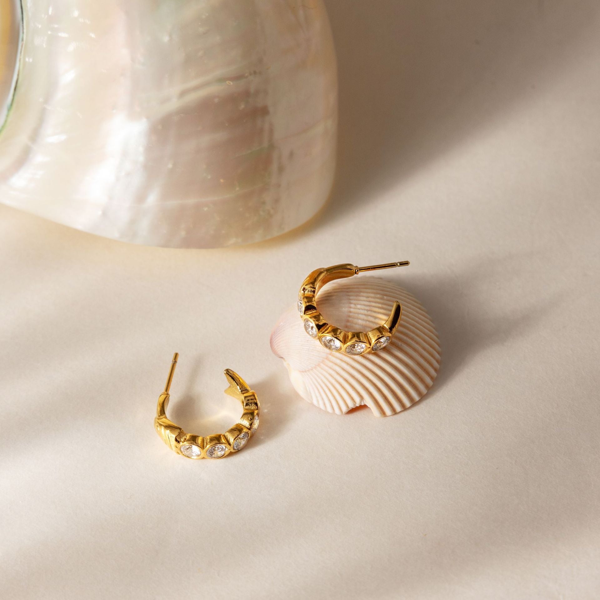 Sardine Hoop Earrings