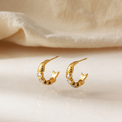 Sardine Hoop Earrings