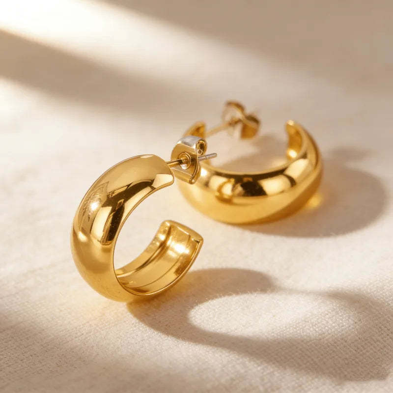 Big Hoop Earrings