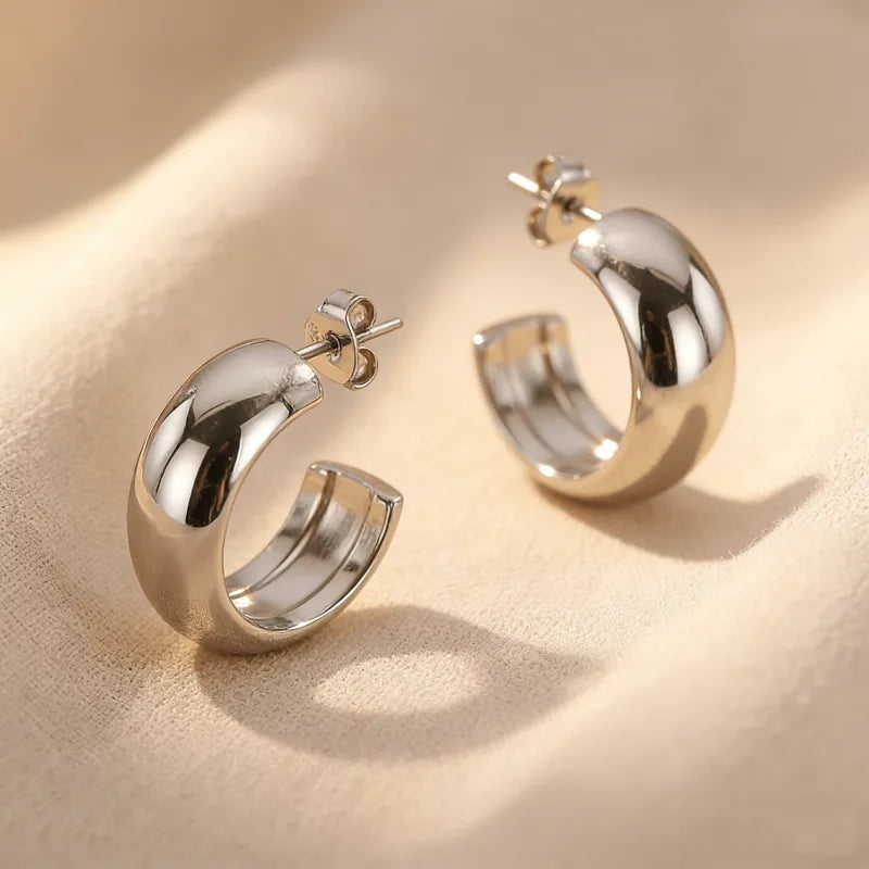 Big Hoop Earrings