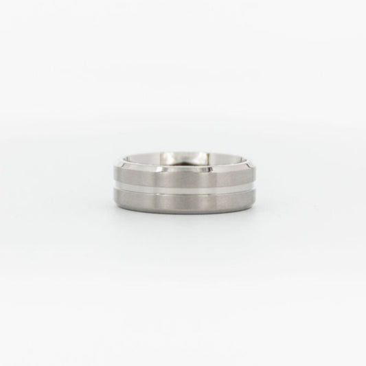 Frosted brushed titanium men's wedding ring in silver