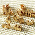 Letter Slider Charms